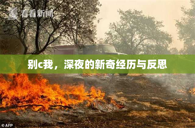 别c我，深夜的新奇经历与反思