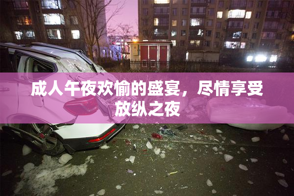 成人午夜欢愉的盛宴，尽情享受放纵之夜