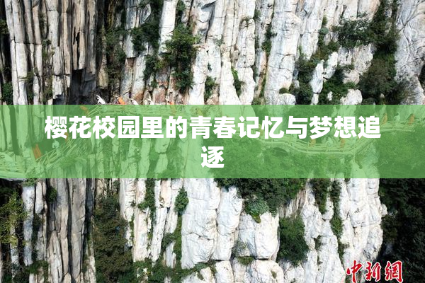 樱花校园里的青春记忆与梦想追逐