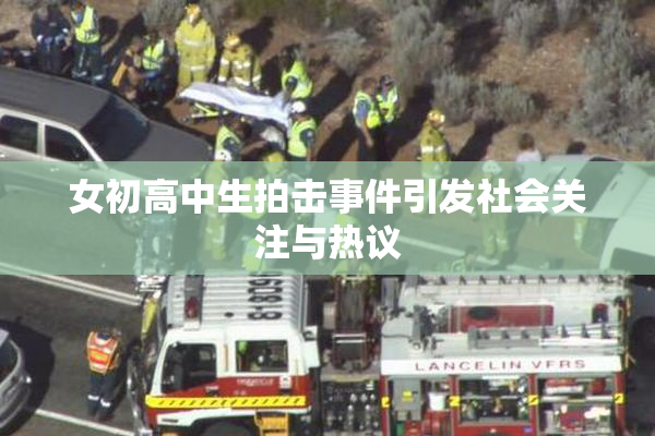 女初高中生拍击事件引发社会关注与热议