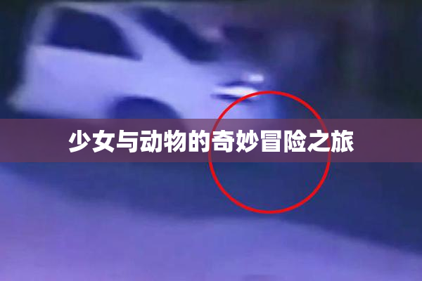 少女与动物的奇妙冒险之旅