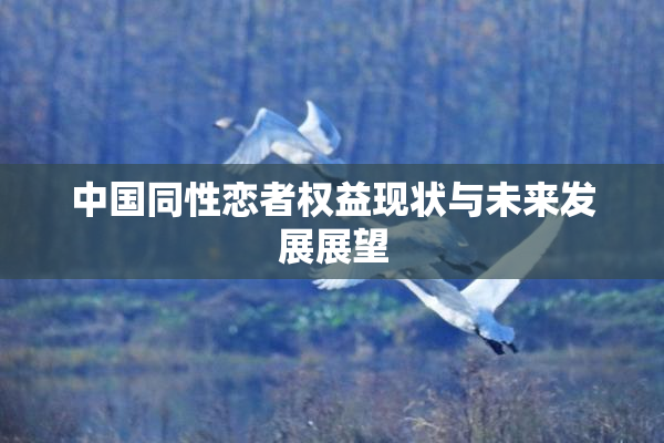 中国同性恋者权益现状与未来发展展望