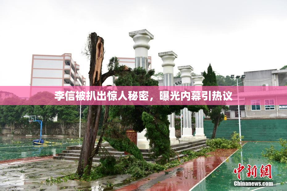 李信被扒出惊人秘密，曝光内幕引热议