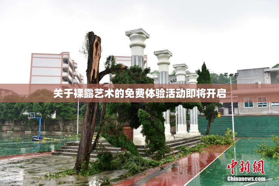 关于裸露艺术的免费体验活动即将开启