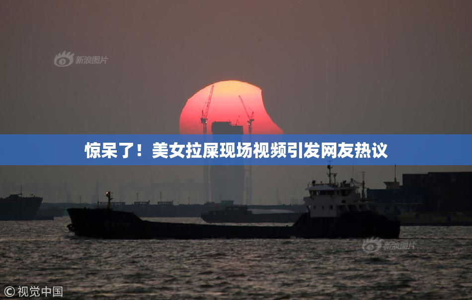 惊呆了！美女拉屎现场视频引发网友热议