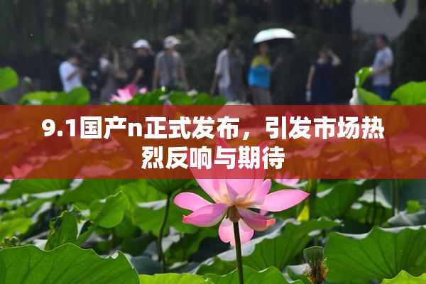 9.1国产n正式发布，引发市场热烈反响与期待
