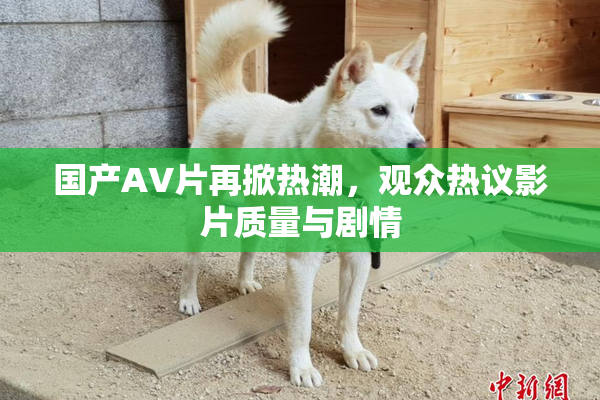 国产AV片再掀热潮，观众热议影片质量与剧情