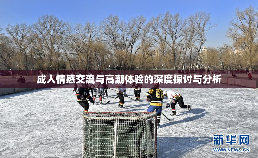 成人情感交流与高潮体验的深度探讨与分析