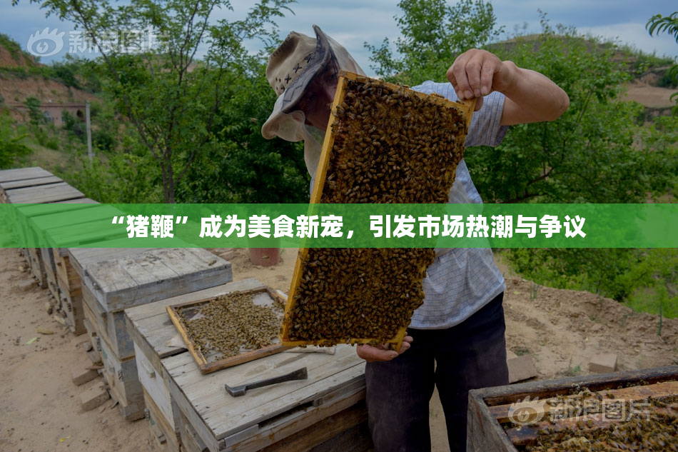 “猪鞭”成为美食新宠，引发市场热潮与争议