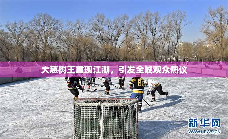 大慈树王重现江湖，引发全城观众热议
