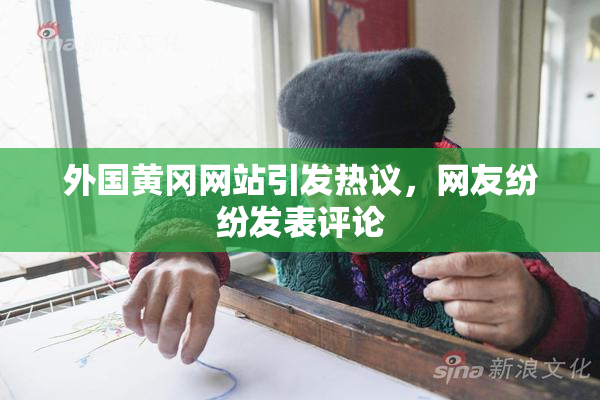 外国黄冈网站引发热议，网友纷纷发表评论