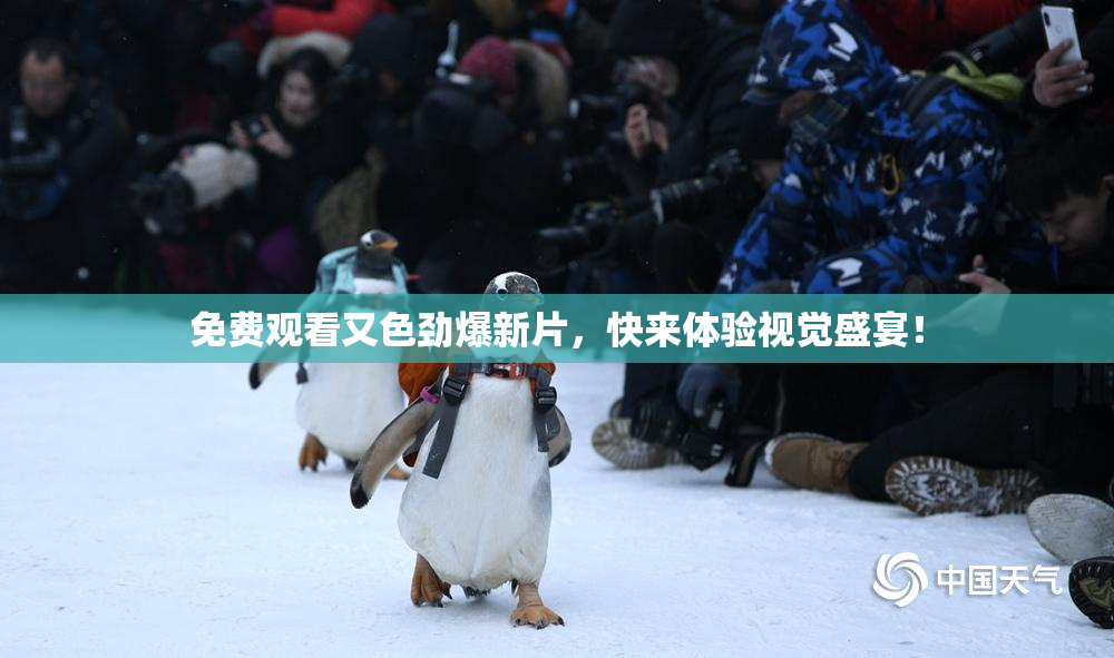 免费观看又色劲爆新片，快来体验视觉盛宴！