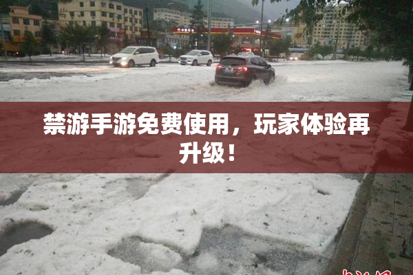 禁游手游免费使用，玩家体验再升级！