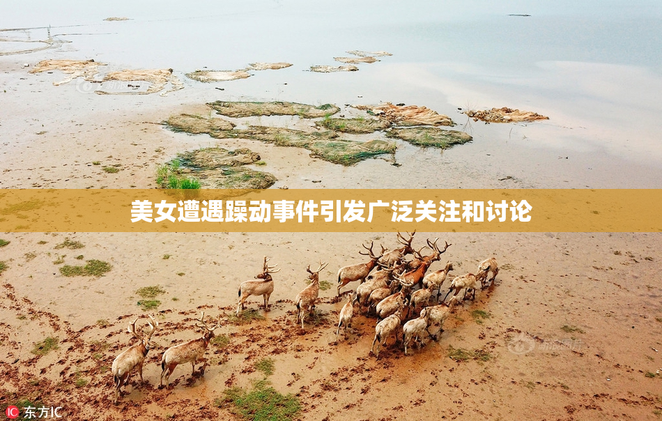 美女遭遇躁动事件引发广泛关注和讨论
