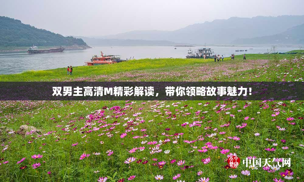 双男主高清M精彩解读，带你领略故事魅力！