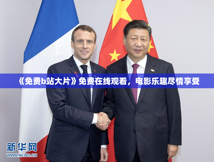 《免费b站大片》免费在线观看，电影乐趣尽情享受