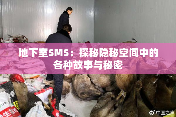 地下室SMS：探秘隐秘空间中的各种故事与秘密