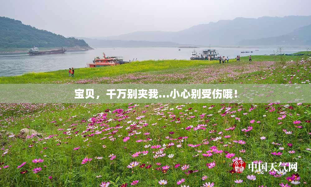 宝贝，千万别夹我…小心别受伤哦！