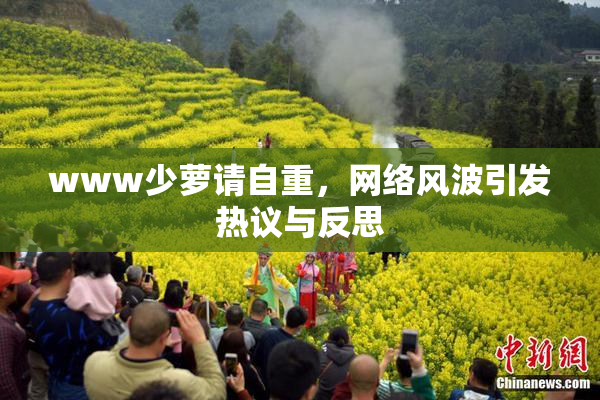 www少萝请自重，网络风波引发热议与反思