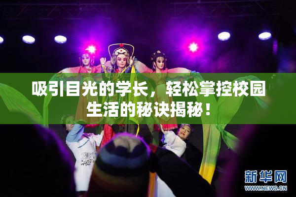 吸引目光的学长，轻松掌控校园生活的秘诀揭秘！