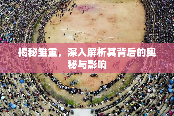 揭秘雏重，深入解析其背后的奥秘与影响