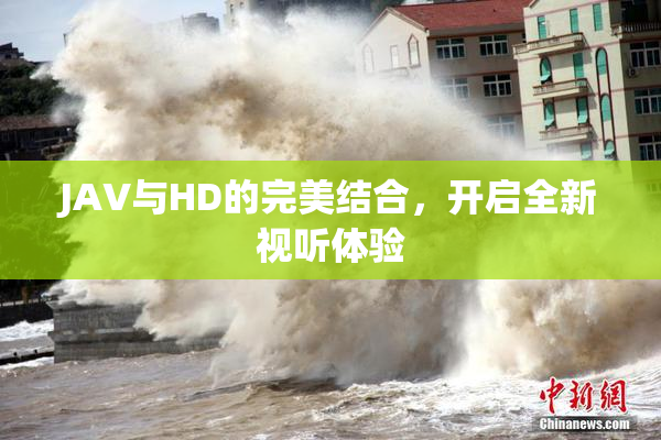 JAV与HD的完美结合，开启全新视听体验
