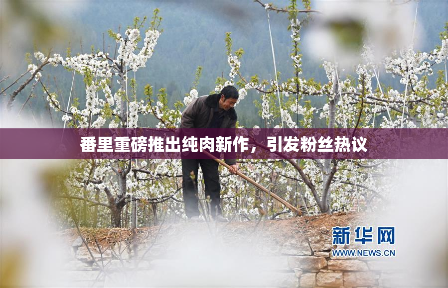 番里重磅推出纯肉新作，引发粉丝热议