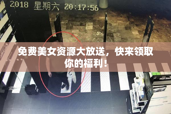 免费美女资源大放送，快来领取你的福利！
