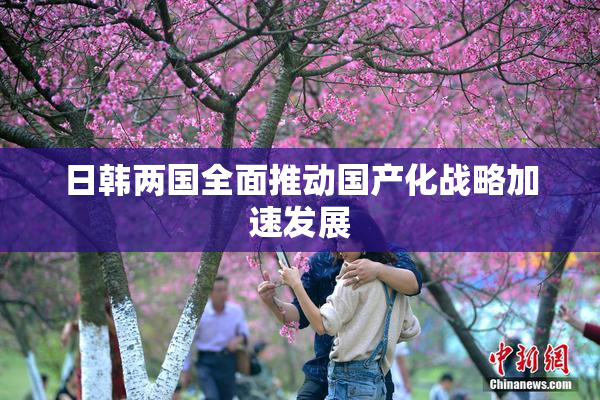 日韩两国全面推动国产化战略加速发展