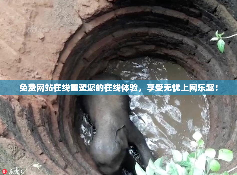 免费网站在线重塑您的在线体验，享受无忧上网乐趣！