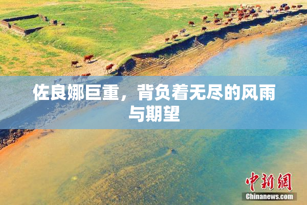 佐良娜巨重，背负着无尽的风雨与期望