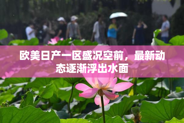 欧美日产一区盛况空前，最新动态逐渐浮出水面