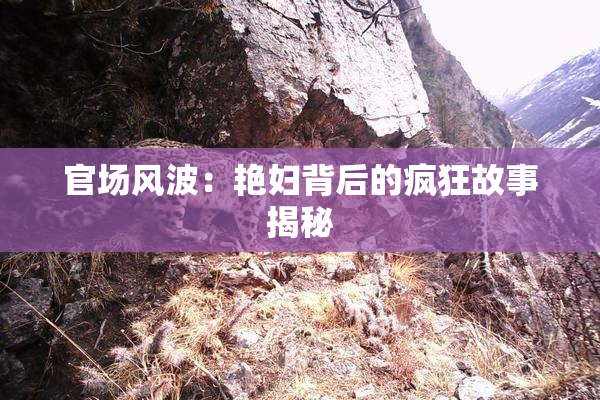 官场风波：艳妇背后的疯狂故事揭秘
