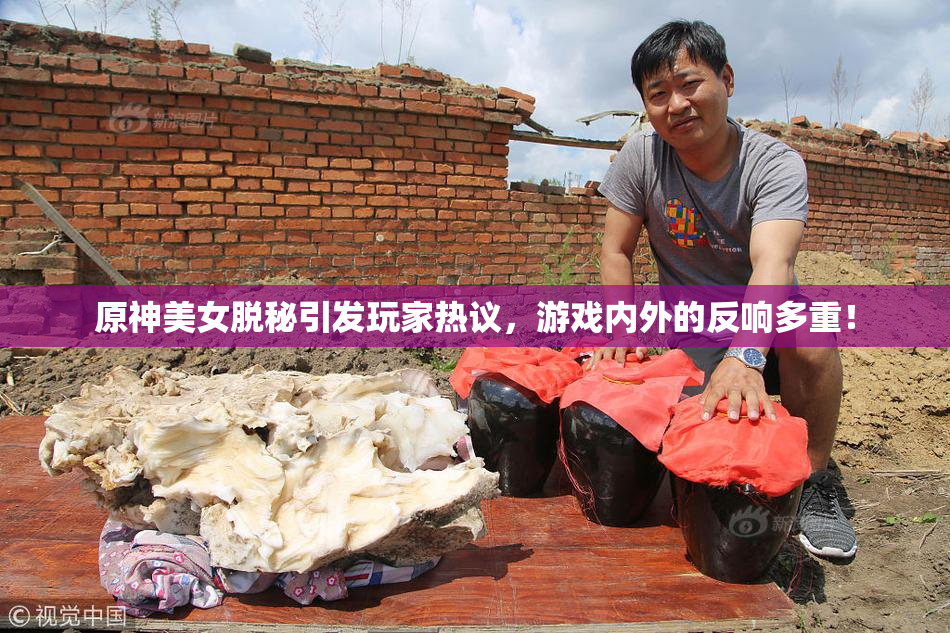 原神美女脱秘引发玩家热议，游戏内外的反响多重！