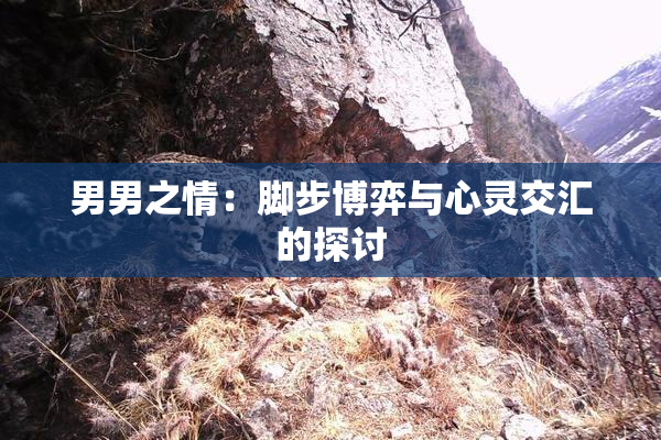 男男之情：脚步博弈与心灵交汇的探讨