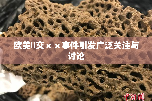 欧美嘼交ⅹⅹ事件引发广泛关注与讨论