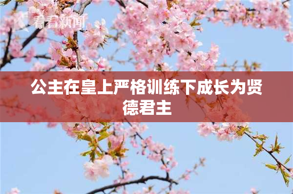 公主在皇上严格训练下成长为贤德君主