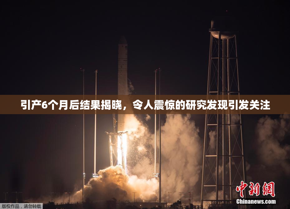 引产6个月后结果揭晓，令人震惊的研究发现引发关注