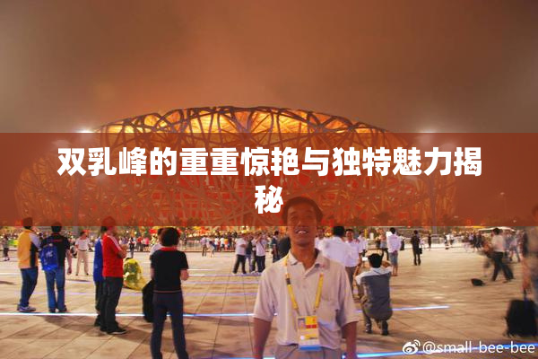 双乳峰的重重惊艳与独特魅力揭秘