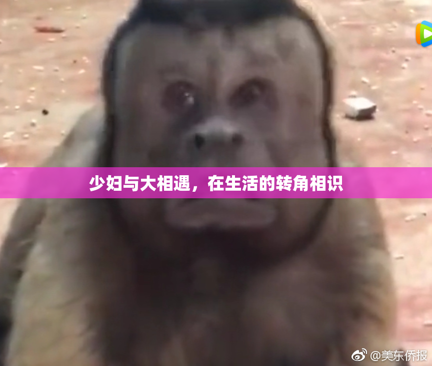 少妇与大相遇，在生活的转角相识