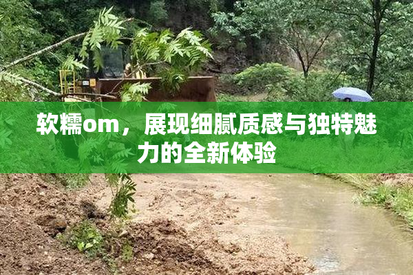 软糯om，展现细腻质感与独特魅力的全新体验