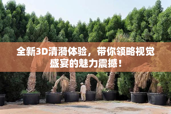 全新3D清漪体验，带你领略视觉盛宴的魅力震撼！