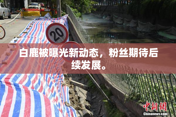 白鹿被曝光新动态，粉丝期待后续发展。