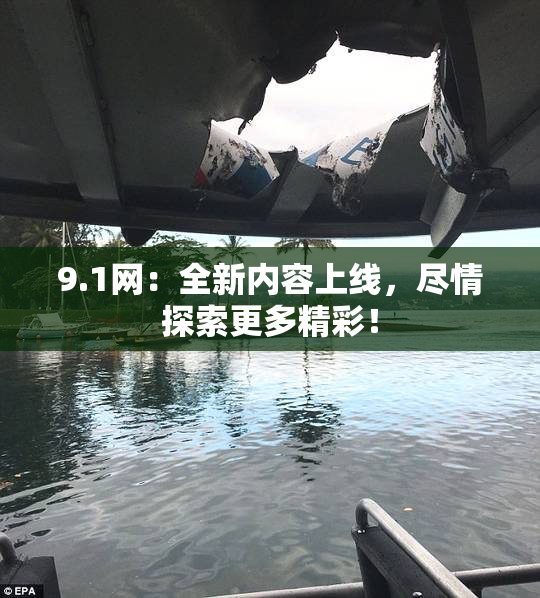 9.1网：全新内容上线，尽情探索更多精彩！