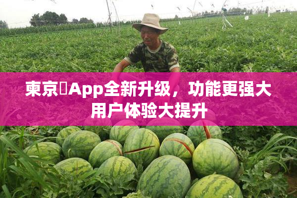 柬京埶App全新升级，功能更强大用户体验大提升