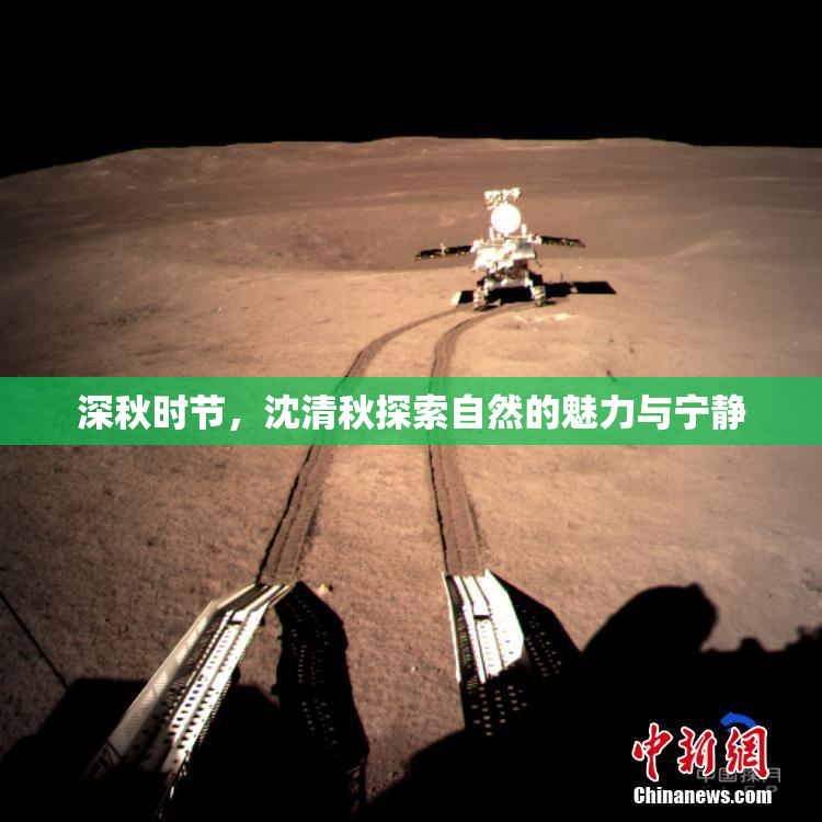 深秋时节，沈清秋探索自然的魅力与宁静