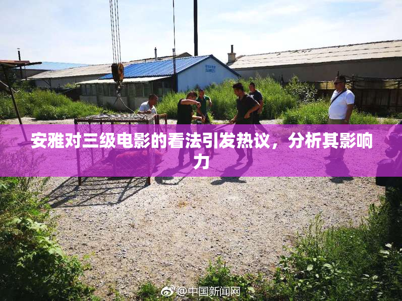 安雅对三级电影的看法引发热议，分析其影响力