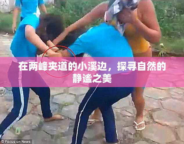 在两峰夹道的小溪边，探寻自然的静谧之美