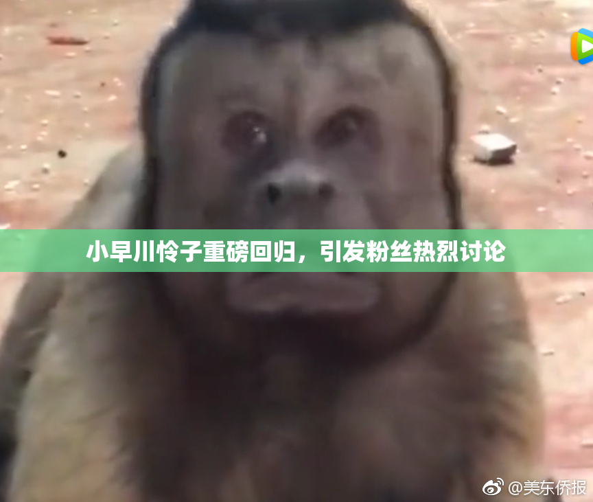 小早川怜子重磅回归，引发粉丝热烈讨论