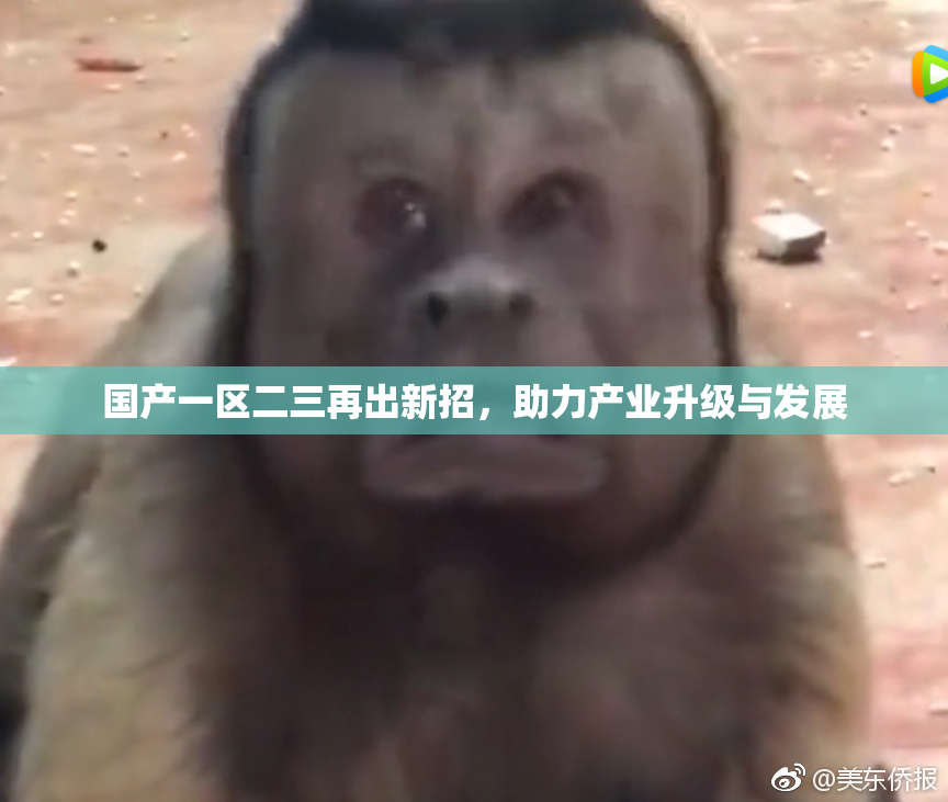 国产一区二三再出新招，助力产业升级与发展